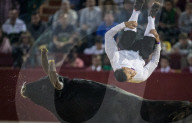 FEATURE: Traditioneller Stierkampf in Zaragoza, Spanien 