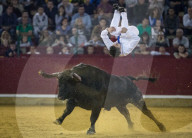 FEATURE: Traditioneller Stierkampf in Zaragoza, Spanien 