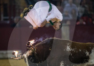 FEATURE: Traditioneller Stierkampf in Zaragoza, Spanien 
