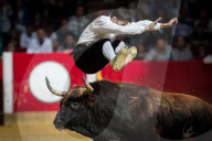 FEATURE: Traditioneller Stierkampf in Zaragoza, Spanien 