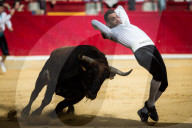 FEATURE: Traditioneller Stierkampf in Zaragoza, Spanien 