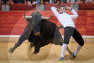 FEATURE: Traditioneller Stierkampf in Zaragoza, Spanien 
