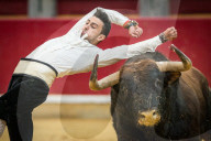FEATURE: Traditioneller Stierkampf in Zaragoza, Spanien 