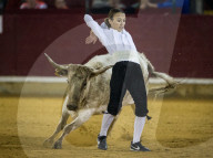 FEATURE: Traditioneller Stierkampf in Zaragoza, Spanien 