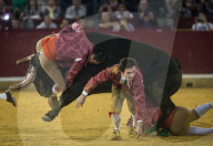 FEATURE: Traditioneller Stierkampf in Zaragoza, Spanien 
