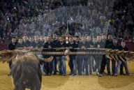 FEATURE: Traditioneller Stierkampf in Zaragoza, Spanien 