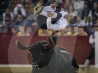FEATURE: Traditioneller Stierkampf in Zaragoza, Spanien 