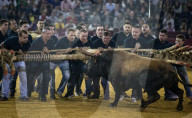 FEATURE: Traditioneller Stierkampf in Zaragoza, Spanien 