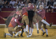 FEATURE: Traditioneller Stierkampf in Zaragoza, Spanien 