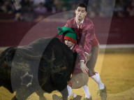 FEATURE: Traditioneller Stierkampf in Zaragoza, Spanien 