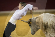 FEATURE: Traditioneller Stierkampf in Zaragoza, Spanien 
