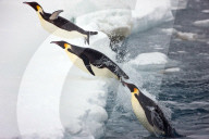 Paul Goldstein 'In The Air' themed images - 13 Feb 2012