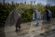 NEWS: Flüchtlingskrise: Einwanderer an der Kroatisch-Ungarischen Grenze