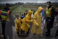 NEWS: Flüchtlingskrise: Einwanderer an der Kroatisch-Ungarischen Grenze