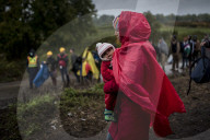 NEWS: Flüchtlingskrise: Einwanderer an der Kroatisch-Ungarischen Grenze