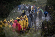 NEWS: Flüchtlingskrise: Einwanderer an der Kroatisch-Ungarischen Grenze