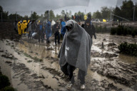 NEWS: Flüchtlingskrise: Einwanderer an der Kroatisch-Ungarischen Grenze