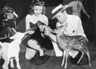 PEOPLE: Hollywoodstar Joan Leslie mit 90 Jahren verstorben