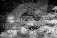 REPORTAGE: Flüchtlings-Spuren in Ungarn von David Molina Gadea