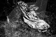 REPORTAGE: Flüchtlings-Spuren in Ungarn von David Molina Gadea