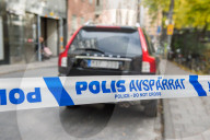 NEWS: Aufregung um die Sicherheit des schwedischen Prinzen