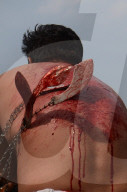 NEWS: Blutig: Muslime zelebrieren "Ashura"