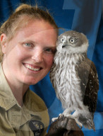 NEWS: Kläfferkäuzchen "Snoop" wird in der Tierstation aufgepäppelt