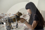 FEATURE: Kätzchen im Rollator