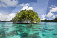 FEATURE: Beeindruckende Unterwasser-Welt in Palau
