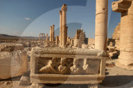 NEWS: Syrien: Die Ruinenstadt Palmyra vor den IS Angriffen