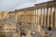 NEWS: Syrien: Die Ruinenstadt Palmyra vor den IS Angriffen
