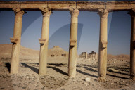 NEWS: Syrien: Die Ruinenstadt Palmyra vor den IS Angriffen