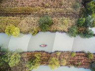 FEATURE: Herbststimmung in Hangzhou