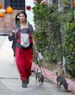 PEOPLE: Elisabetta Canalis und Klein Skyler gehen mit den Hunden Gassi