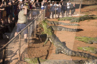 FEATURE - Australien: Der Douglas Crocodile Park in Broome