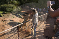 FEATURE - Australien: Der Douglas Crocodile Park in Broome