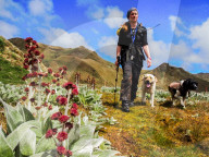 FEATURE - Hunde retten die Umwelt in Australia