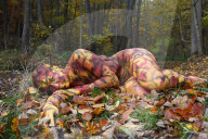 FEATURE - Gut getarnt: Nacktmodel im Herbstwald von Jürg Düsterwald