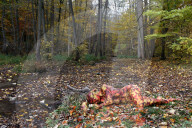 FEATURE - Gut getarnt: Nacktmodel im Herbstwald von Jürg Düsterwald