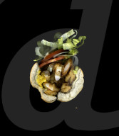 FEATURE - 'Scanwiches'