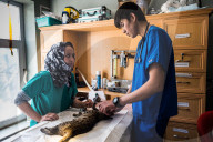 REPORTAGE - Daily Life in Afghanistan