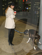 PEOPLE - Kate Upton's Hund muss mal 