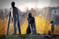 FEATURE - Geparden im Zoo in Prag