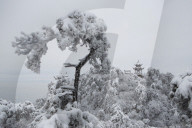 FEATURE - Schnee auf dem Panshan - Winter in Tianjin