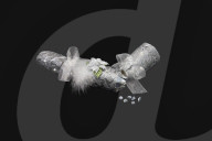 FEATURE - Christmas Crackers mit Diamanten