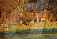 FEATURE - Herbststimmung in Yorkshire