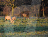 FEATURE - Herbststimmung in Yorkshire