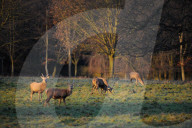 FEATURE - Herbststimmung in Yorkshire