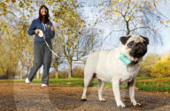 FEATURE - WonderWoof macht Hunde glücklich