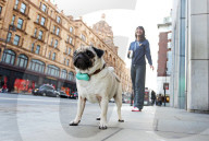 FEATURE - WonderWoof macht Hunde glücklich